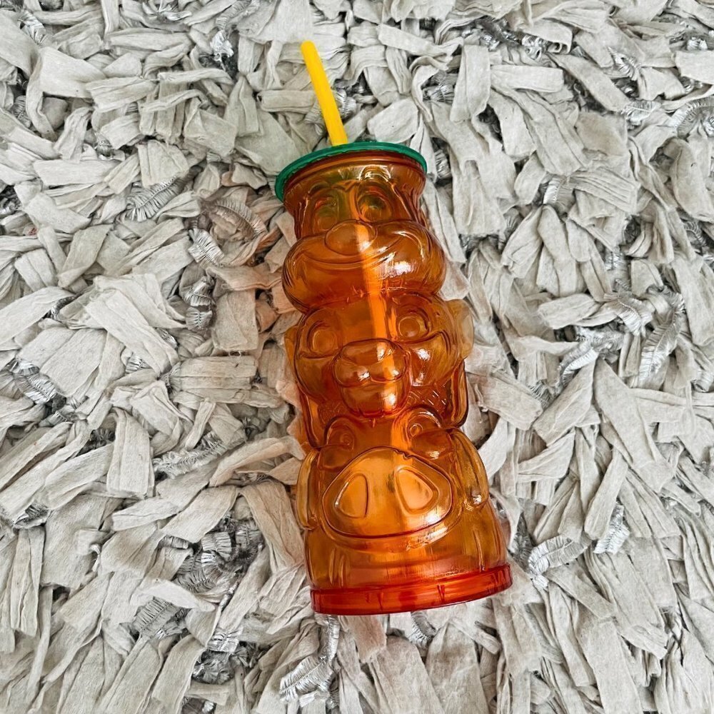 NWT Lion King Friends Tumbler in Orange with Straw